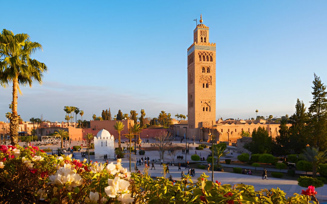 Day Trip from Casablanca to Marrakech