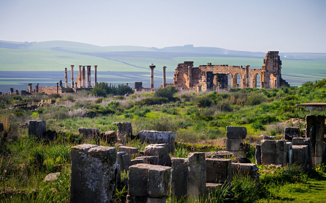 Casablanca To Meknes, Moulay Idriss and Volubilis